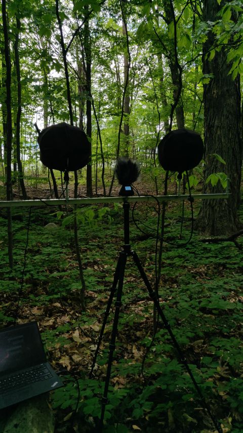 Spaced Spatial Array Setup 2