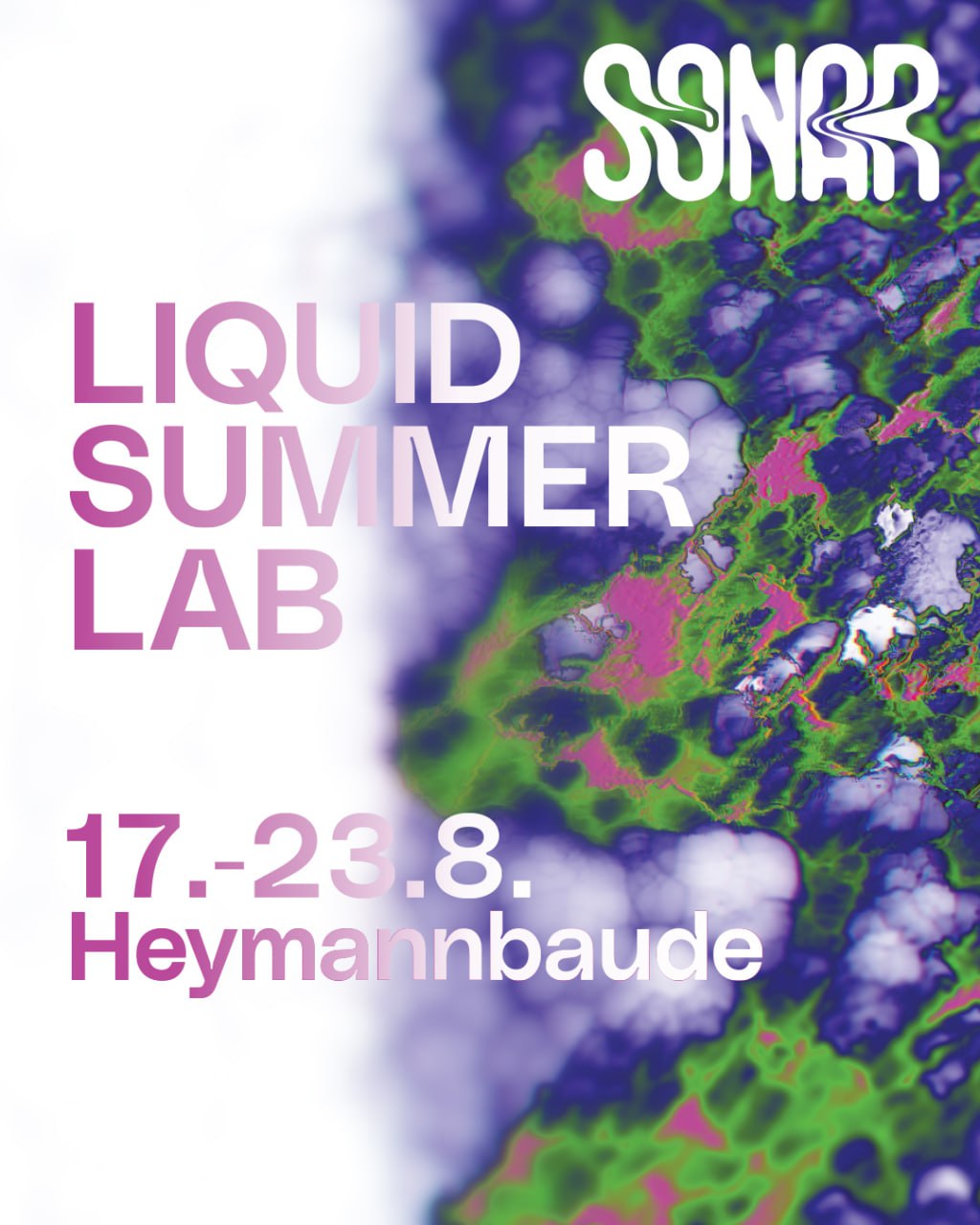 Poster for Liquid Summer Lab